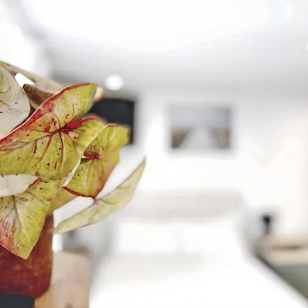 דירה Alfacinha Fully Equipped By Homeful Homes ליסבון